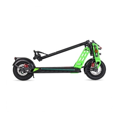 Bison 800 W SPORT GREEN