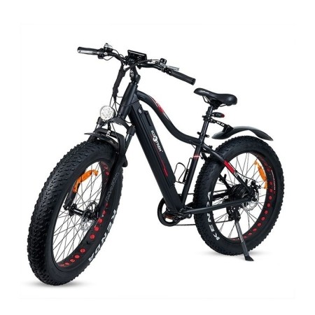 E-MTB XL